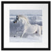 Weißes Pferd auf Schneewiese Passepartout Quadratisch 40x40