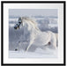 Weißes Pferd auf Schneewiese Passepartout Quadratisch 55x55