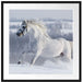 Weißes Pferd auf Schneewiese Passepartout Quadratisch 70x70