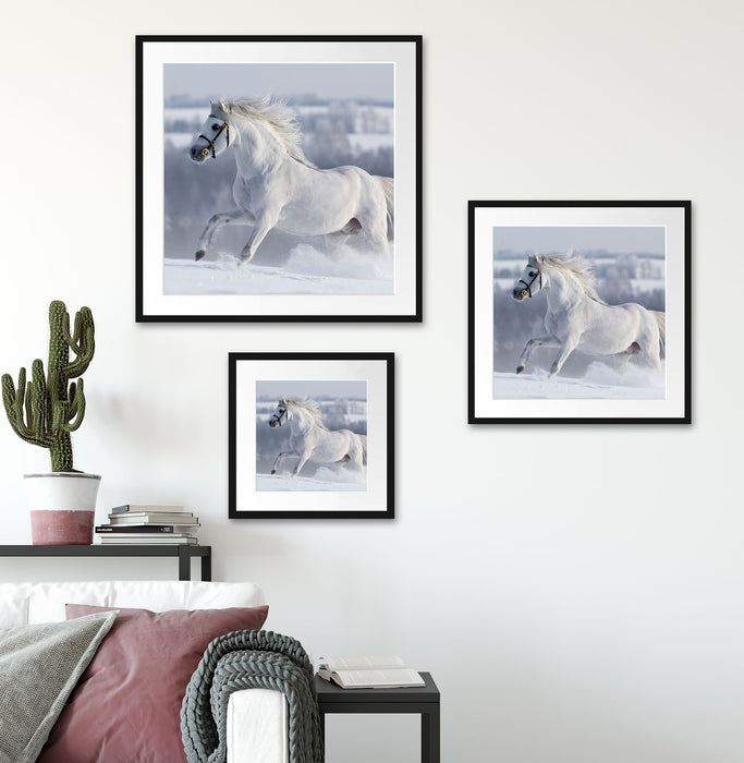 Weißes Pferd auf Schneewiese Quadratisch Passepartout Wohnzimmer