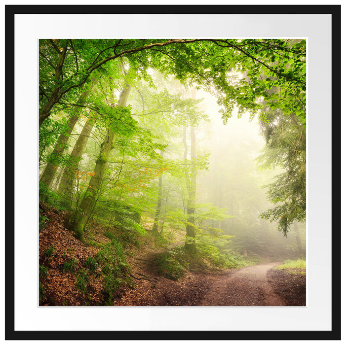 Sonnenstrahlen Waldweg Passepartout Quadratisch 70x70