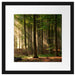 Bäume im Licht Passepartout Quadratisch 40x40