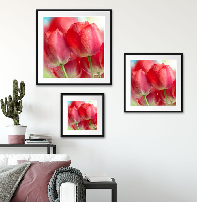 Rote Tulpen Quadratisch Passepartout Wohnzimmer