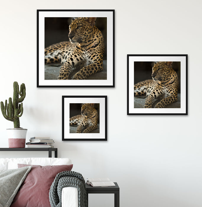 Majestäischer Leopard Quadratisch Passepartout Wohnzimmer