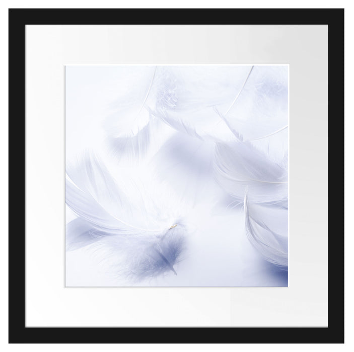 Weiße Feder auf schwarzem Stein Passepartout Quadratisch 40x40
