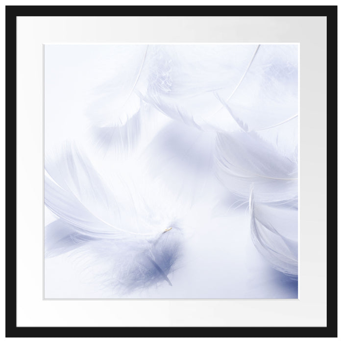 Weiße Feder auf schwarzem Stein Passepartout Quadratisch 55x55