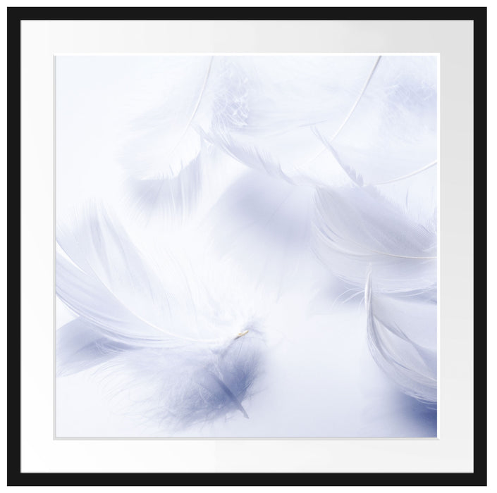 Weiße Feder auf schwarzem Stein Passepartout Quadratisch 70x70