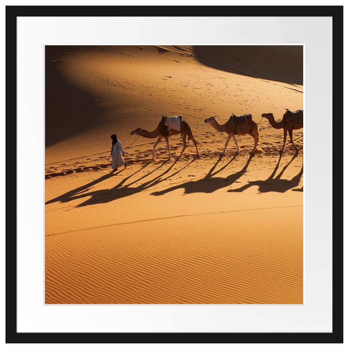 Kamelkarawane in der Wüste Passepartout Quadratisch 55x55