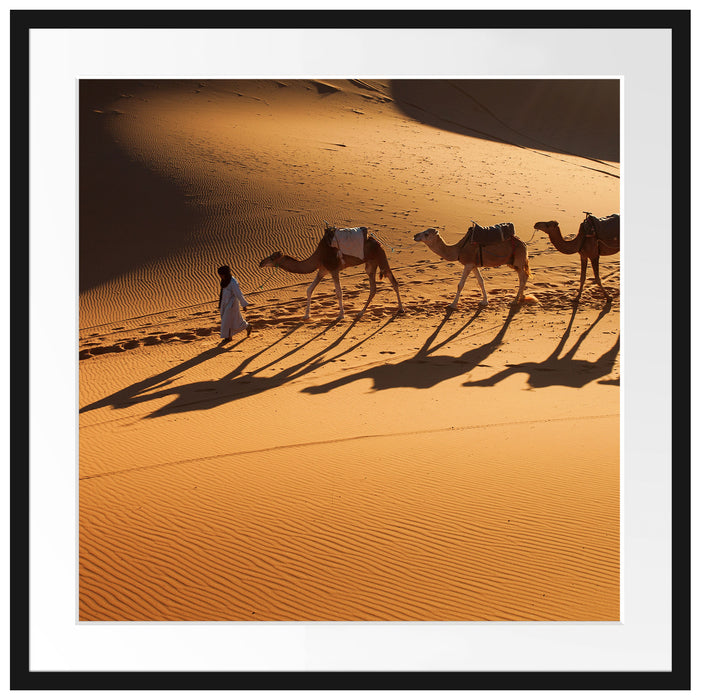 Kamelkarawane in der Wüste Passepartout Quadratisch 70x70