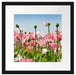 Blumenwiese Mohnblumen Passepartout Quadratisch 40x40