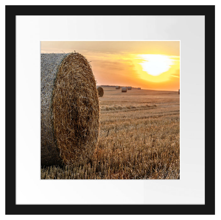 Strohballen auf Feld Passepartout Quadratisch 40x40