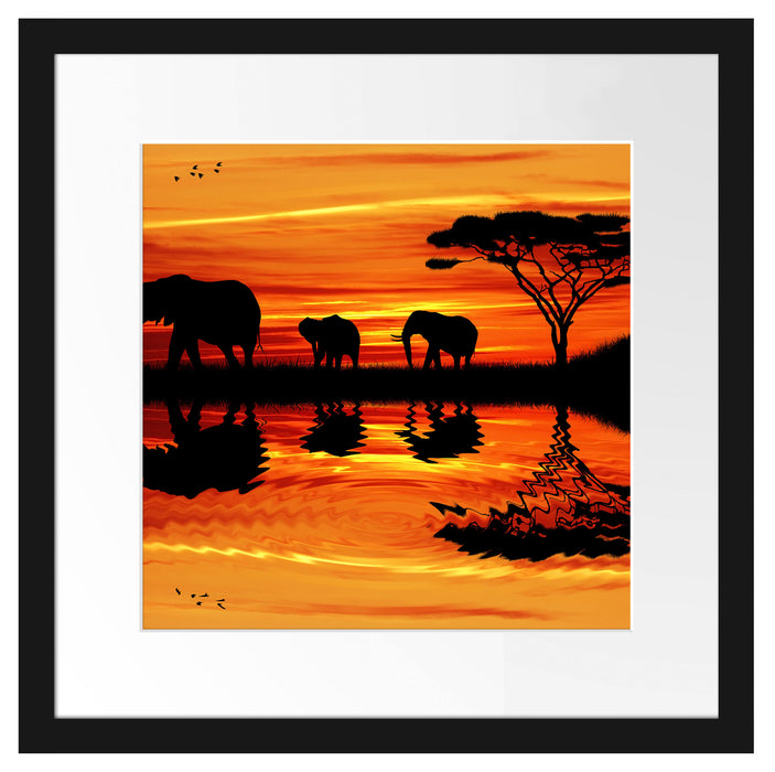 Afrika Elefant in Sonnenschein Passepartout Quadratisch 40x40
