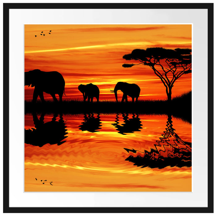 Afrika Elefant in Sonnenschein Passepartout Quadratisch 70x70