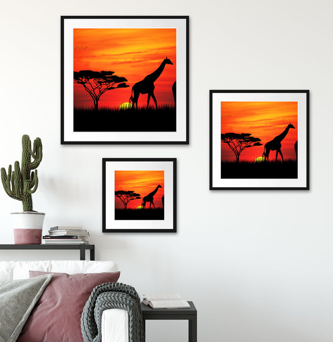 Afrika Giraffen im Sonnenuntergang Quadratisch Passepartout Wohnzimmer