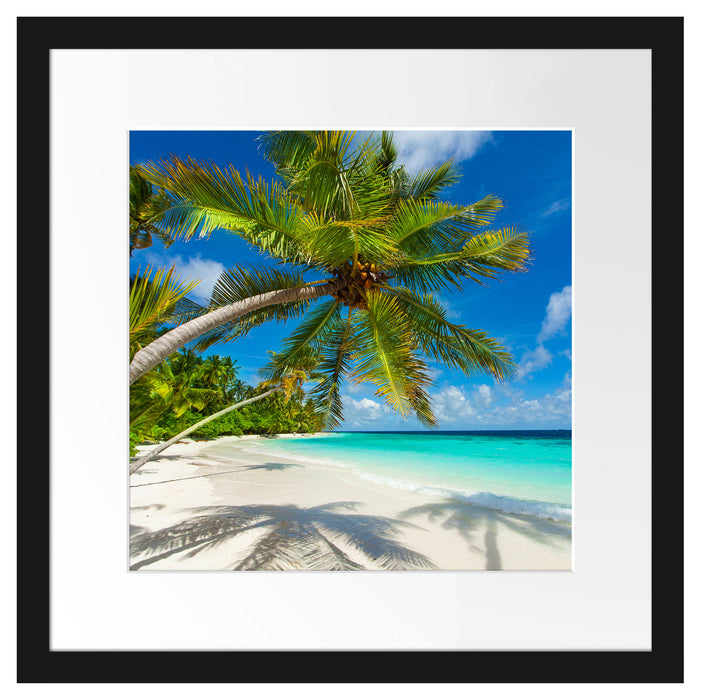 Palmenstrand Passepartout Quadratisch 40x40