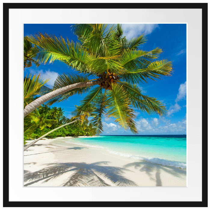 Palmenstrand Passepartout Quadratisch 70x70