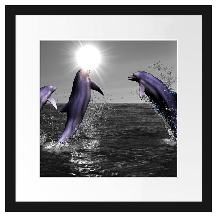 Fröhliche Delfine springen im Meer Passepartout Quadratisch 40x40