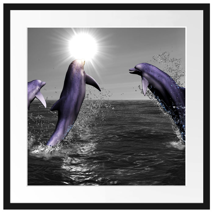 Fröhliche Delfine springen im Meer Passepartout Quadratisch 55x55