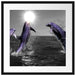 Fröhliche Delfine springen im Meer Passepartout Quadratisch 55x55