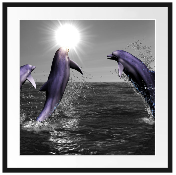 Fröhliche Delfine springen im Meer Passepartout Quadratisch 70x70