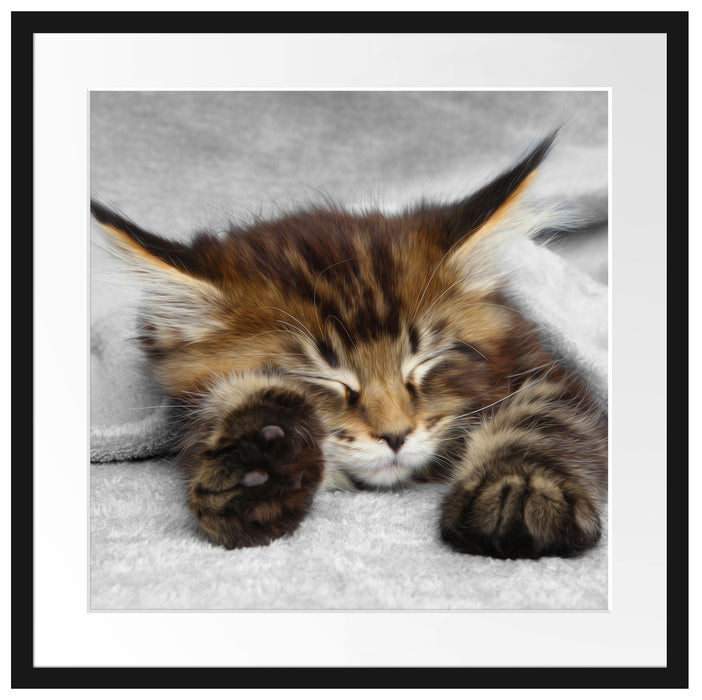 schlafende Katze mit großen Ohren Passepartout Quadratisch 55x55