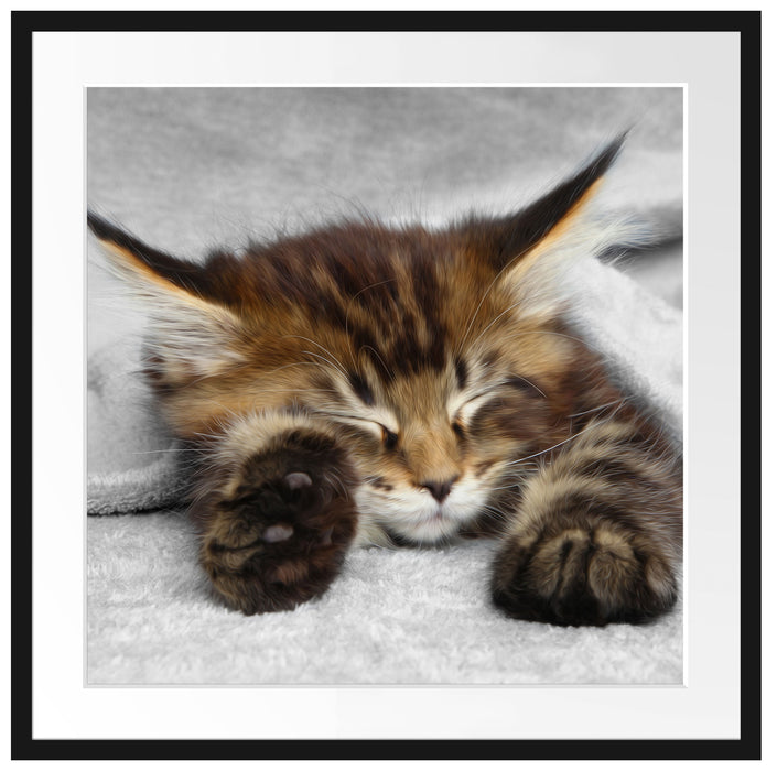schlafende Katze mit großen Ohren Passepartout Quadratisch 70x70