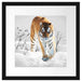 Großer wilder Tiger im Schnee Passepartout Quadratisch 40x40