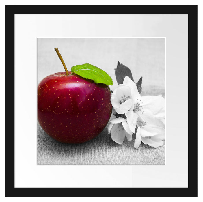 Schöner roter Apfel mit Blüten Passepartout Quadratisch 40x40