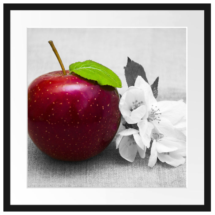Schöner roter Apfel mit Blüten Passepartout Quadratisch 55x55