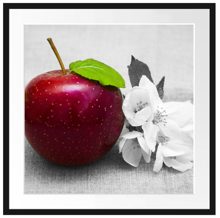 Schöner roter Apfel mit Blüten Passepartout Quadratisch 70x70