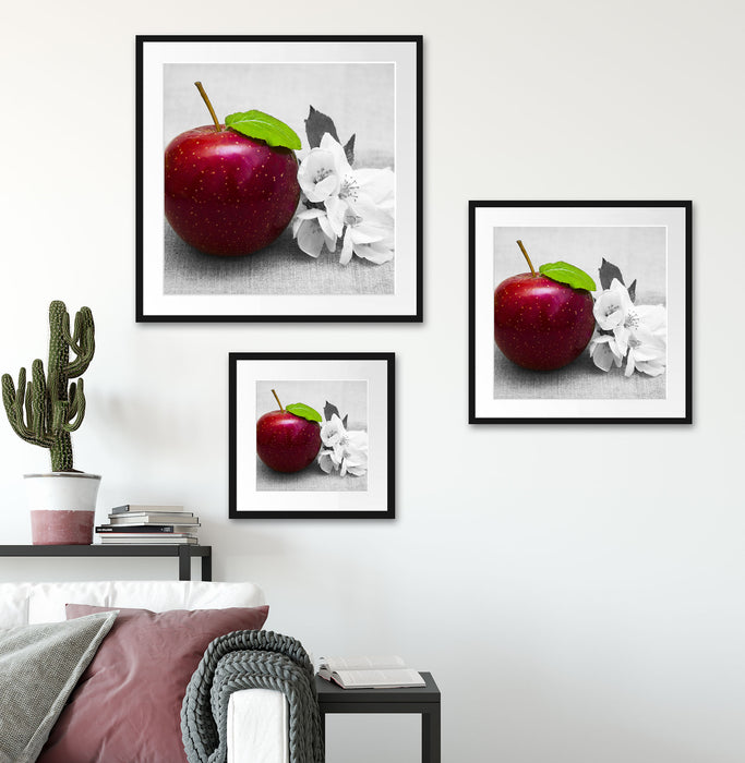 Schöner roter Apfel mit Blüten Quadratisch Passepartout Wohnzimmer
