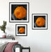 Orange mit Wassertropfen Quadratisch Passepartout Wohnzimmer