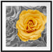 gelbe Rose im Rosenmeer Passepartout Quadratisch 70x70