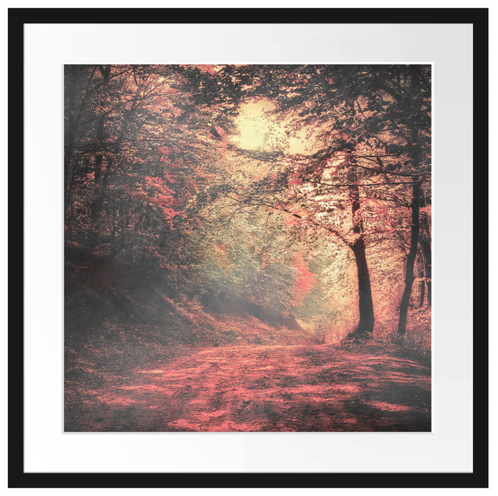 Waldstraße im Herbst Passepartout Quadratisch 55x55