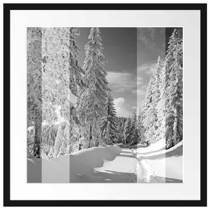 Winterlandschaft mit Bäumen Passepartout Quadratisch 55x55