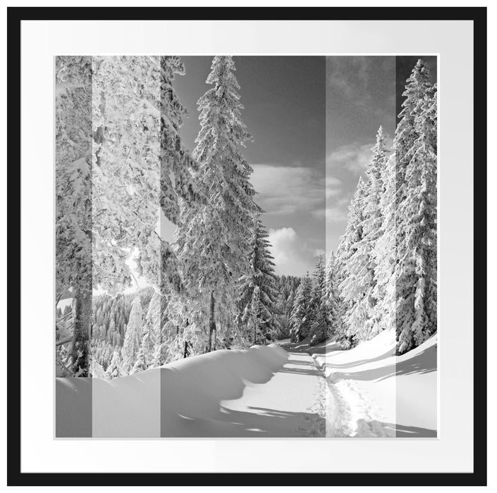 Winterlandschaft mit Bäumen Passepartout Quadratisch 70x70