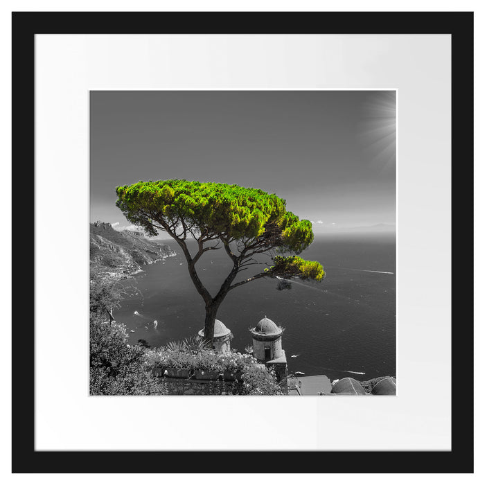 Baum am Mittelmeer Passepartout Quadratisch 40x40
