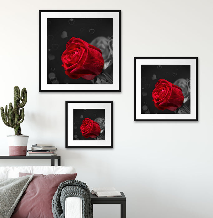 rote Rosen zum Valentinstag Quadratisch Passepartout Wohnzimmer