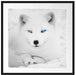 Polarfuchs mit strahlenden Augen Passepartout Quadratisch 70x70