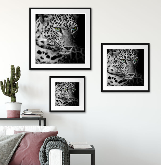 Leopardenkopf Quadratisch Passepartout Wohnzimmer