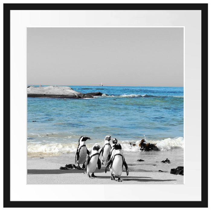 lustige Pinguine am Strand Passepartout Quadratisch 55x55