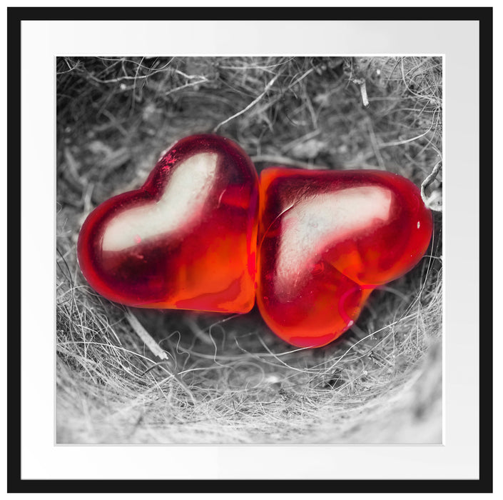 zwei Herzen in kleinem Nest Passepartout Quadratisch 70x70