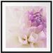 Blüte mit lila Blütenbläter Passepartout Quadratisch 70x70