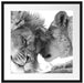 Bezauberndes kuschelndes Löwenpaar Passepartout Quadratisch 55x55