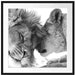 Bezauberndes kuschelndes Löwenpaar Passepartout Quadratisch 70x70