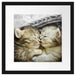 Zwei süße Babykatzen im Korb Passepartout Quadratisch 40x40