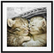 Zwei süße Babykatzen im Korb Passepartout Quadratisch 55x55