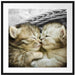 Zwei süße Babykatzen im Korb Passepartout Quadratisch 70x70