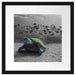 Schildkröte im Ozean Passepartout Quadratisch 40x40