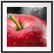 roter Apfel mit Wassertropfen Passepartout Quadratisch 55x55